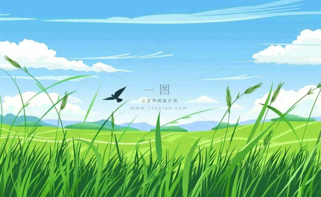 春天草场莺飞小麦地绿色麦苗小满芒种立夏卡通插画背景