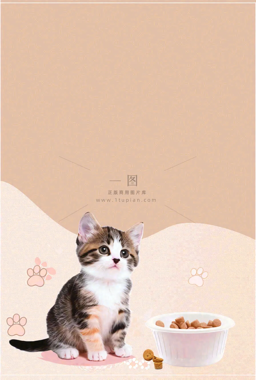 宠物常识宠物攻略猫狗卡通插画背景