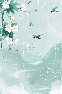 春天梅雨季山间燕子白花花朵雨水谷雨惊蛰寒露水墨插画背景