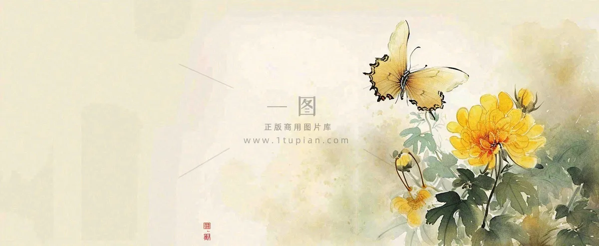温馨纹理橙色花朵鲜花蝴蝶意境唯美，中国风