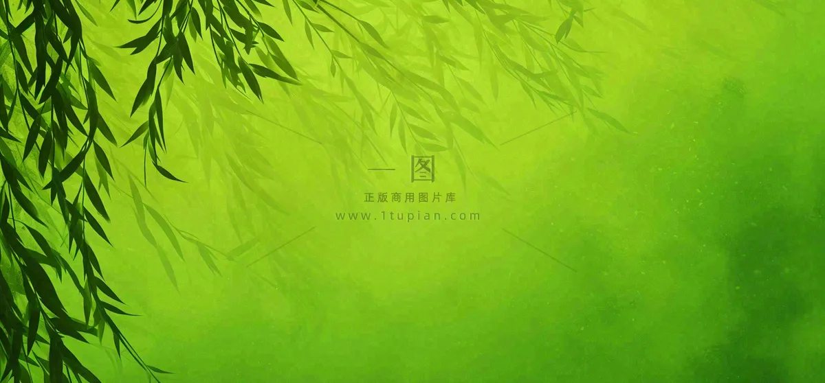 绿色简约绿植绿叶手绘插画笔墨意境