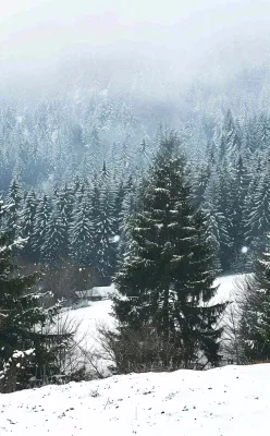 冬天寒冷白雪结冰小寒摄影图 冬天寒冷白雪结冰小寒摄影图