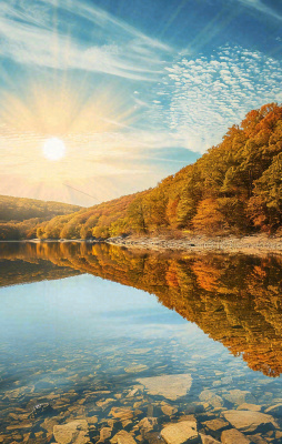 秋天蓝天阳光秋叶树木湖面水中倒影，秋分寒露摄影图