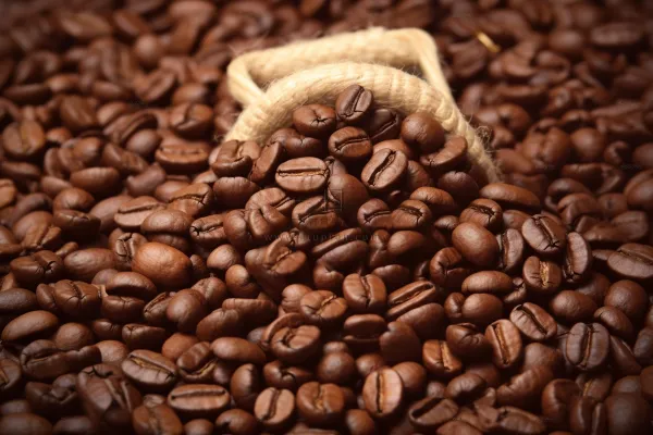 咖啡豆摄影图