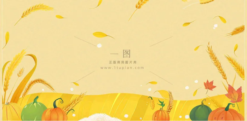 世界粮食日稻谷麦穗秋收卡通插画芒种秋分背景