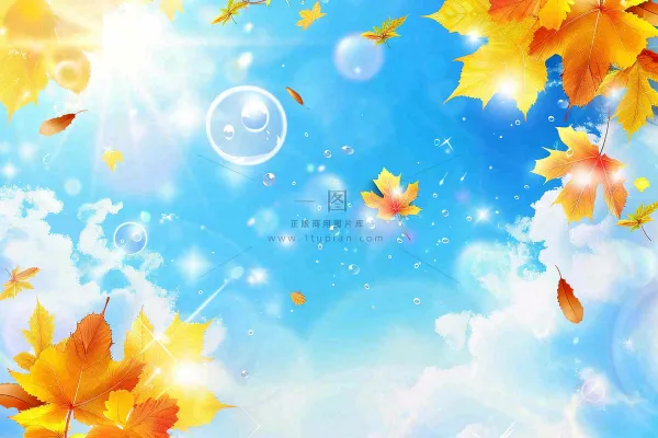 秋天黄色枫叶落叶蓝天白云刺眼阳光立秋秋分处暑背景 秋天黄色枫叶落叶蓝天白云刺眼阳光立秋秋分处暑背景