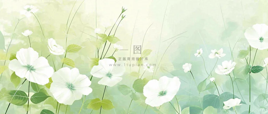 清新白色小花野花野草春天萌芽手绘,春分 清新白色小花野花野草春天萌芽手绘,春分