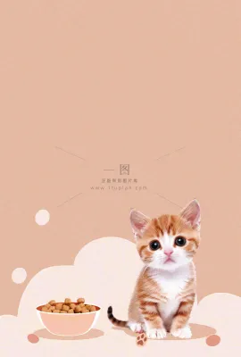 宠物常识宠物攻略猫狗卡通插画背景