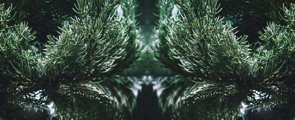 绿色绿植枝叶镜像镜头，新鲜生命力摄影图