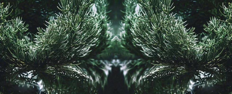 绿色绿植枝叶镜像镜头，新鲜生命力摄影图