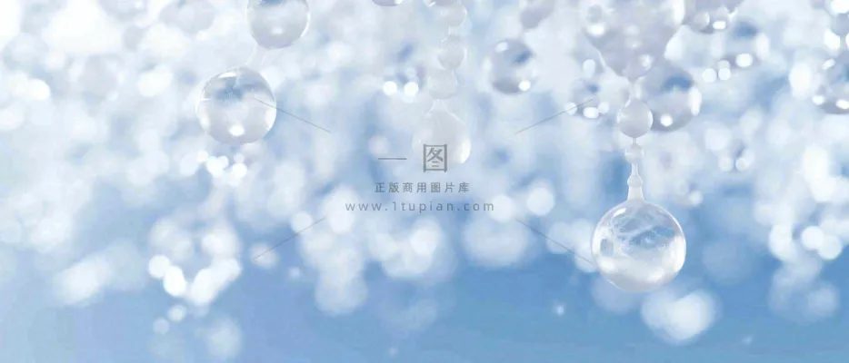 冬天冰枝冰冷枝叶雪球,小雪大雪冬至 冬天冰枝冰冷枝叶雪球,小雪大雪冬至