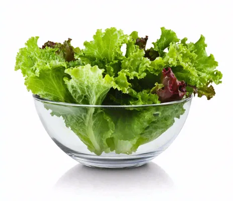 生菜透明玻璃碗蔬菜摄影图