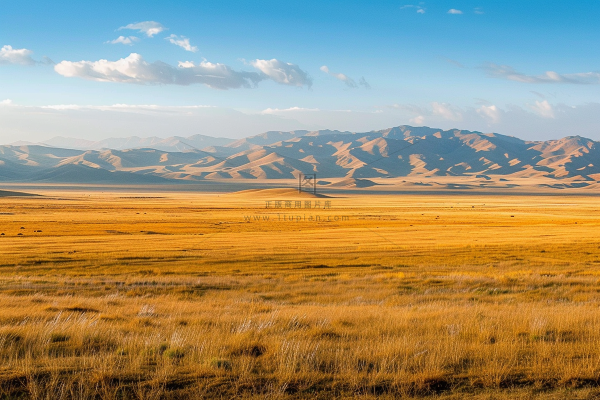 秋日草原丰收季摄影图