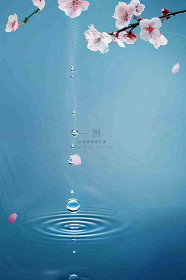 春天梅雨时节雨滴飘落在梅花滴落在水面上泛起涟漪雨水谷雨寒露摄影图 春天梅雨时节雨滴飘落在梅花滴落在水面上泛起涟漪雨水谷雨寒露摄影图