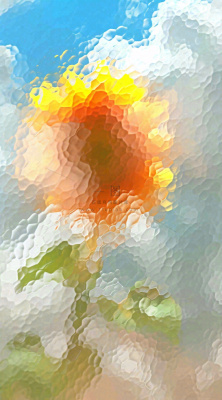 蓝天白云向日葵新鲜黄色花束，清新朦胧