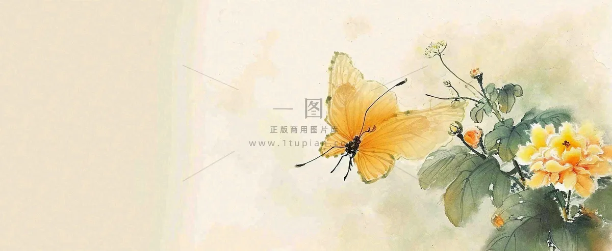 温馨纹理橙色花朵鲜花蝴蝶意境唯美，中国风
