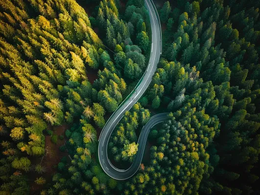 森林环山公路绿意摄影图