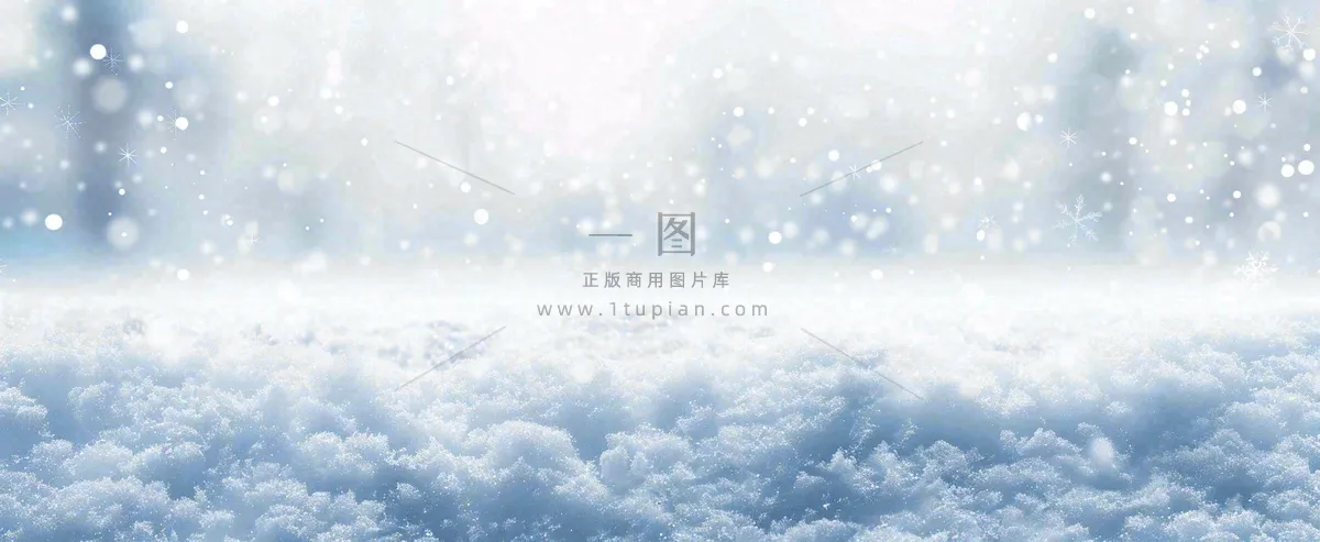 冬天白色闪耀的雪花寒冷唯美小寒大寒立冬大雪摄影图