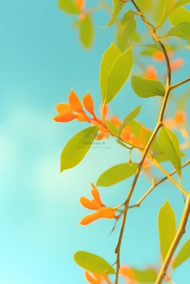 清新简约绿叶小花背景