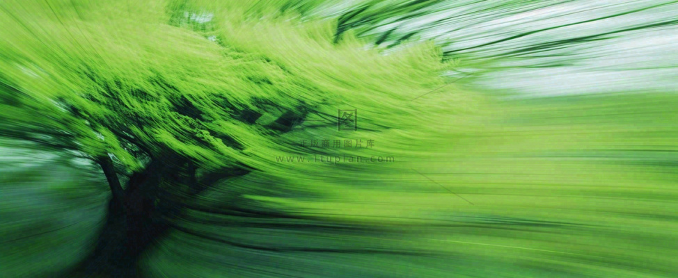 绿色植物树木绚丽虚幻背景