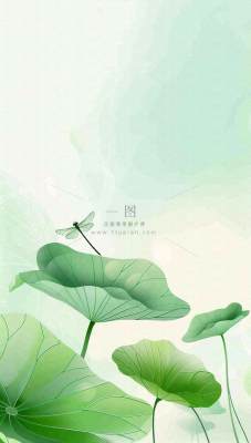 夏天荷花荷叶清凉小清新淡雅立夏夏至暑插画背景 夏天荷花荷叶清凉小清新淡雅立夏夏至暑插画背景