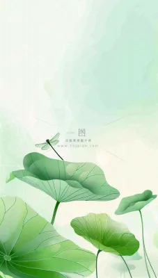 夏天荷花荷叶清凉小清新淡雅立夏夏至暑插画背景 夏天荷花荷叶清凉小清新淡雅立夏夏至暑插画背景
