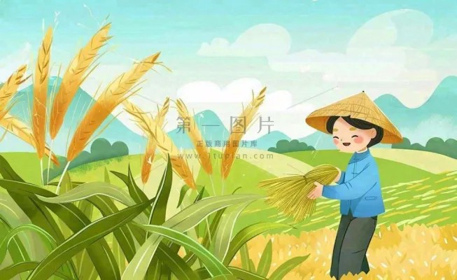 世界粮食日芒种秋收稻田麦子农民天空小满创意手绘卡通插画背景