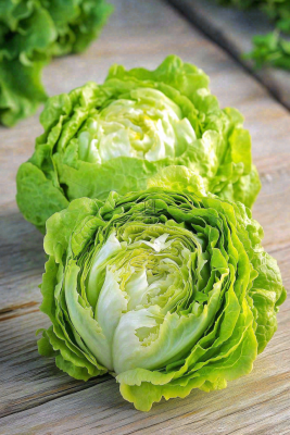 白菜蔬菜生菜食物摄影图