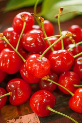樱桃车厘子水果摄影图