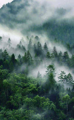 国际山岳日 国际山岳日