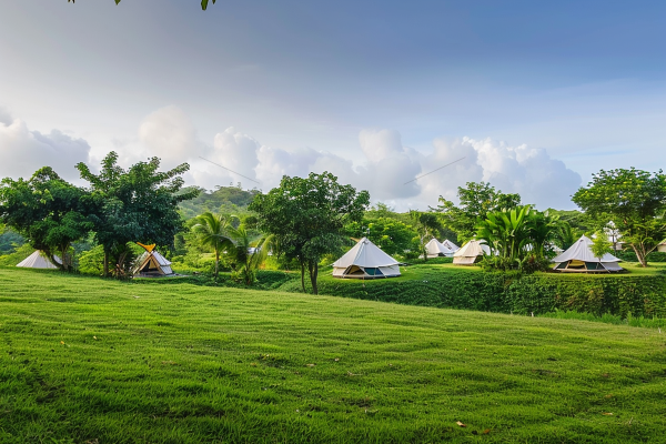 春游公园草地露营摄影图