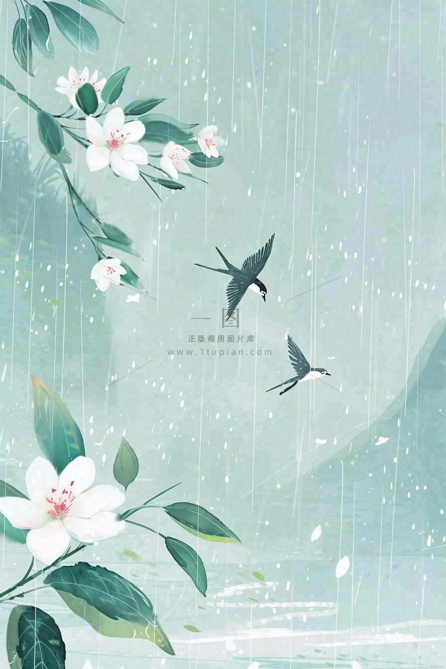 春天梅雨季山间燕子白花花朵雨水谷雨惊蛰寒露水墨插画背景