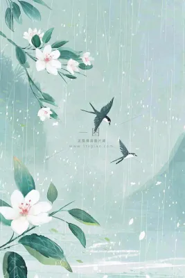 春天梅雨季山间燕子白花花朵雨水谷雨惊蛰寒露水墨插画背景