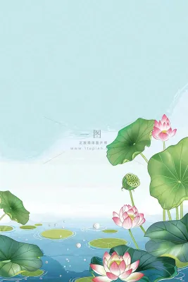 夏日池塘里的荷花荷叶插画清新淡雅立夏小暑大暑处暑卡通插画背景 夏日池塘里的荷花荷叶插画清新淡雅立夏小暑大暑处暑卡通插画背景