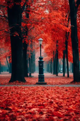 秋天公园深红色树叶树落叶摄影图