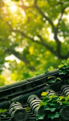 夏天大树绿荫屋檐小清新唯美大暑处暑摄影图