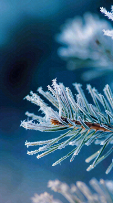 冬天寒冷白雪结冰大寒摄影图