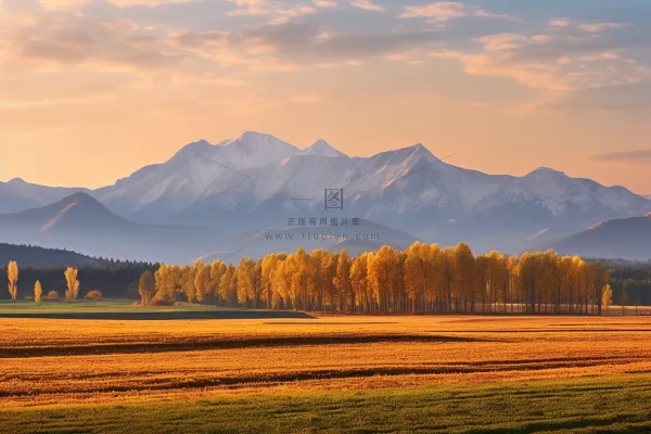 秋天高原雪山山脉黄色森林草原摄影图