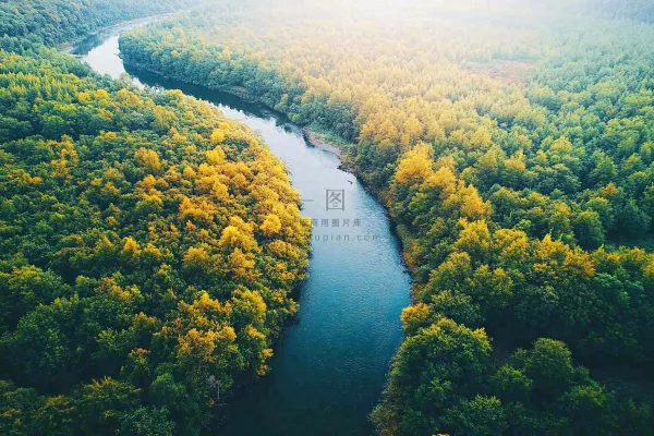 秋天立秋森林大自然风景摄影图