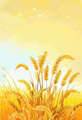 农田里金黄的麦穗稻穗收成卡通插画芒种世界粮食日插画背景 农田里金黄的麦穗稻穗收成卡通插画芒种世界粮食日插画背景