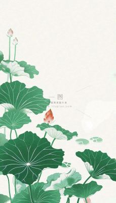 夏天荷花荷叶清凉小清新淡雅立夏夏至暑插画背景 夏天荷花荷叶清凉小清新淡雅立夏夏至暑插画背景
