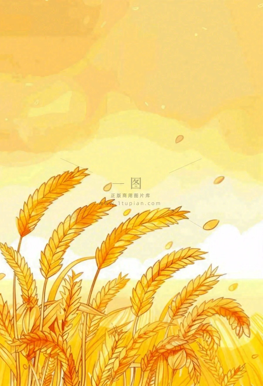 农田里金黄的麦穗稻穗收成卡通插画芒种世界粮食日插画背景