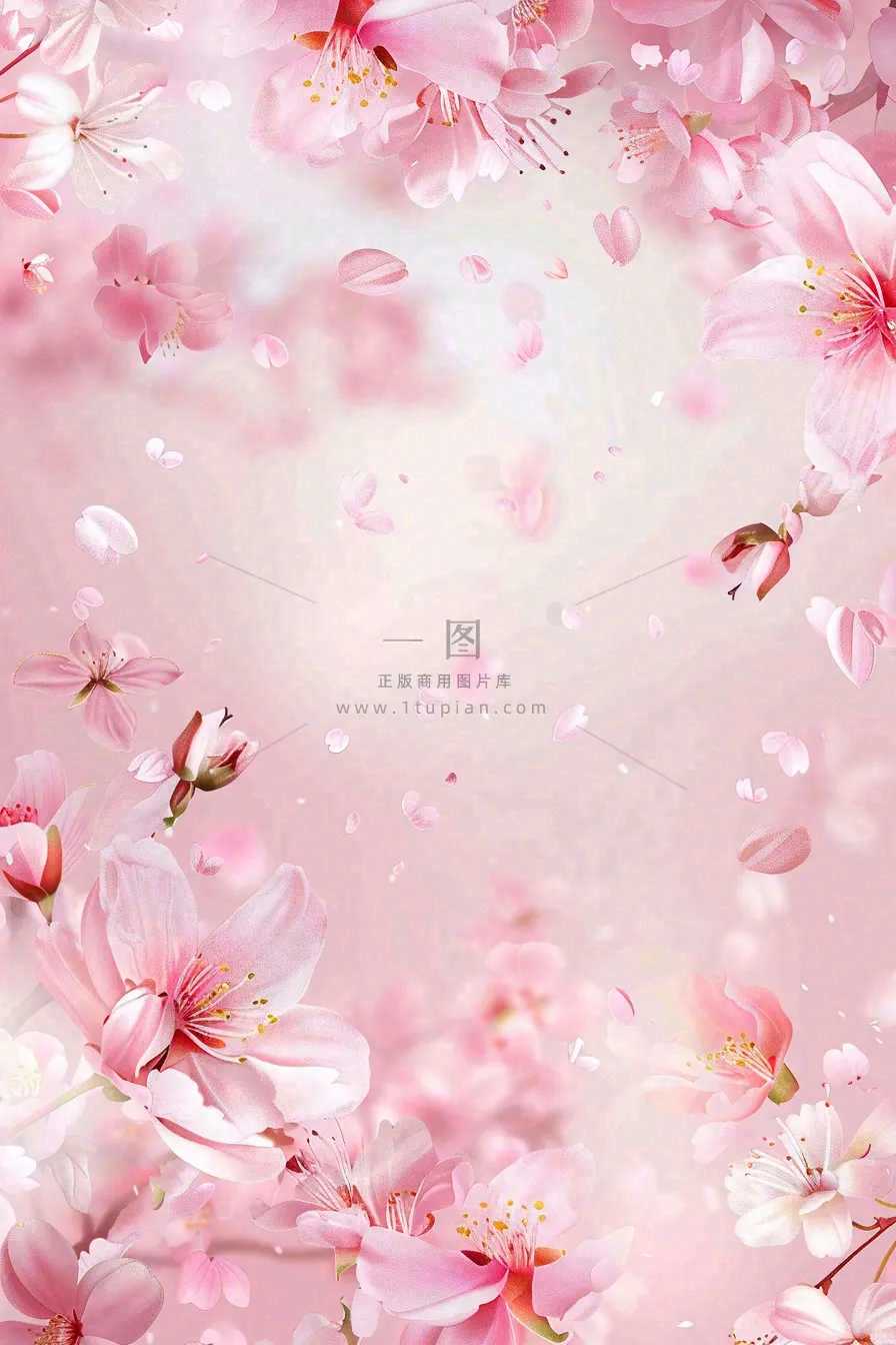 粉色樱花桃花花瓣飘落唯美浪漫春天春分情人七夕背景