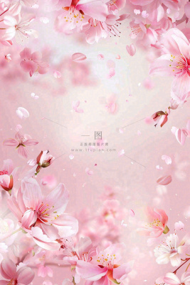 粉色樱花桃花花瓣飘落唯美浪漫春天春分情人七夕背景 粉色樱花桃花花瓣飘落唯美浪漫春天春分情人七夕背景