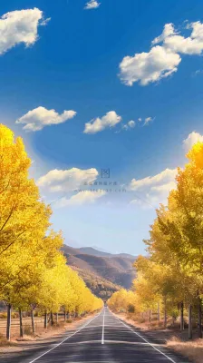 秋天蓝天白云下唯美公路旁的黄叶树木，秋分处暑摄影图