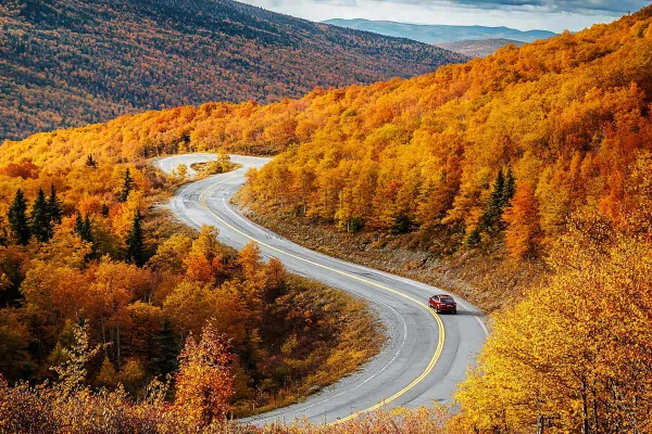 金秋森林公路一叶知秋秋天风景摄影图 金秋森林公路一叶知秋秋天风景摄影图