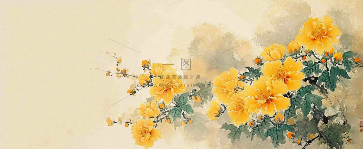 温馨纹理橙色花朵鲜花蝴蝶意境唯美，中国风