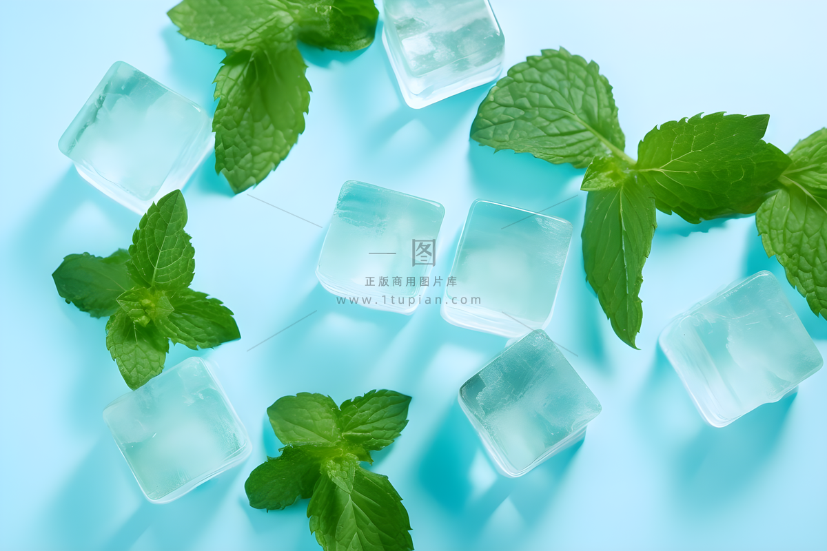 :一张照片是浅蓝色背景下的几个方形冰块和绿色薄荷叶