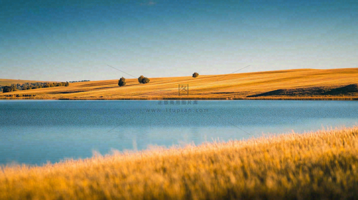 秋天枯黄的草原湖泊大自然风光摄影图