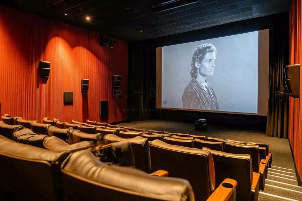 豪华电影院观影场景摄影图